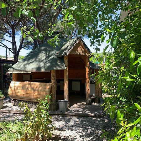 Camping Dolce Sole Marina di Massa Εξωτερικό φωτογραφία