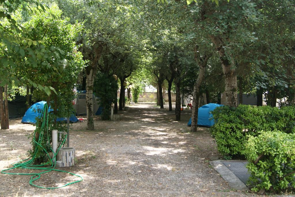 Camping Dolce Sole Marina di Massa Εξωτερικό φωτογραφία