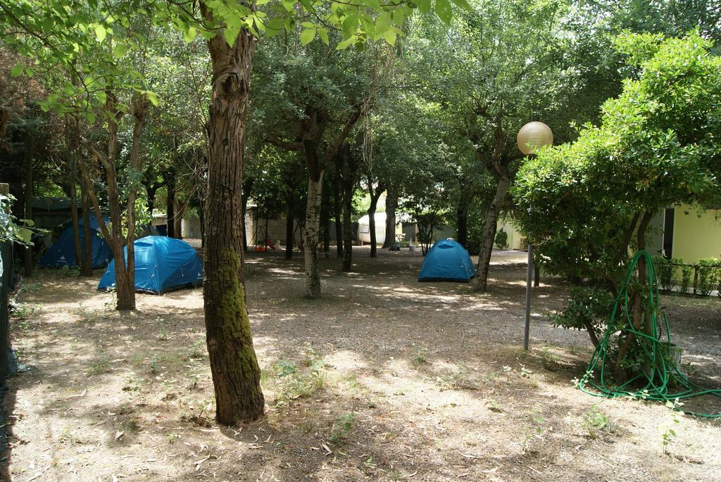 Camping Dolce Sole Marina di Massa Δωμάτιο φωτογραφία