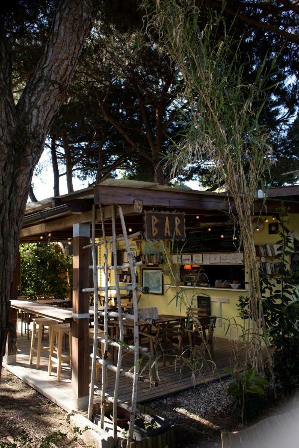Camping Dolce Sole Marina di Massa Εξωτερικό φωτογραφία