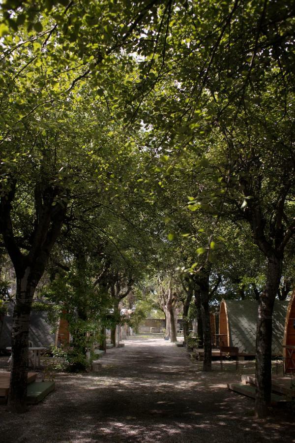 Camping Dolce Sole Marina di Massa Εξωτερικό φωτογραφία