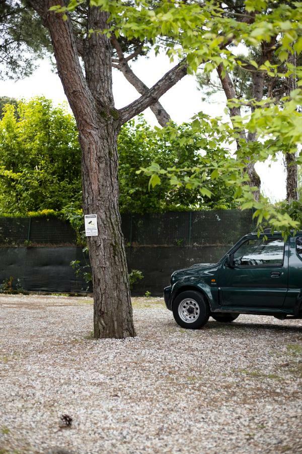Camping Dolce Sole Marina di Massa Εξωτερικό φωτογραφία